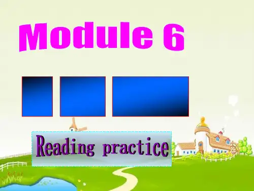 高中英语 Module6 Reading practice课件 外研版选修6