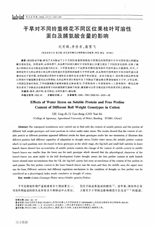干旱对不同铃重棉花不同区位果枝叶可溶性蛋白及脯氨酸含量的影响