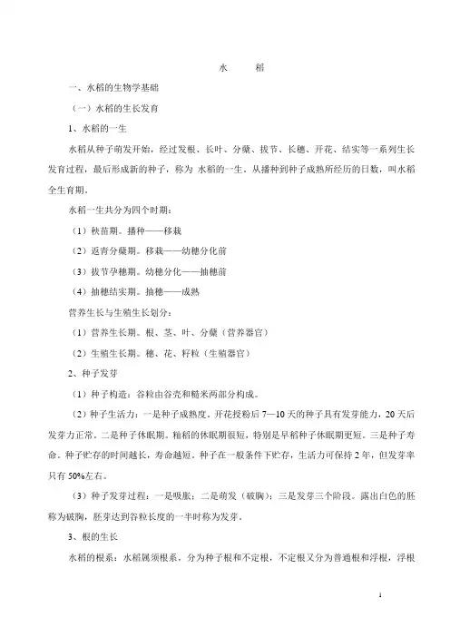 水稻种植技术 2
