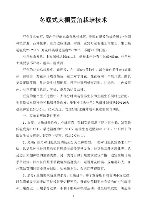冬暖大棚豆角栽培技术