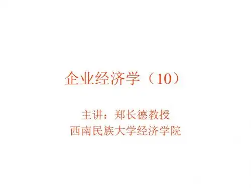 企业经济学(10)