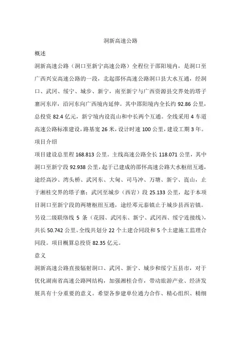 洞新高速公路