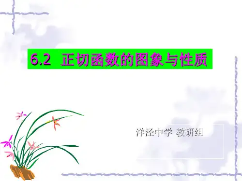 《正切函数的性质与图像》ppt课件