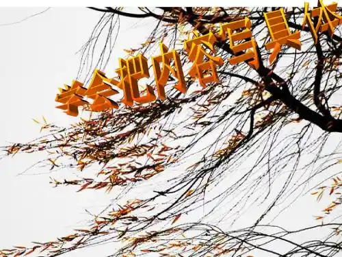 把内容写具体