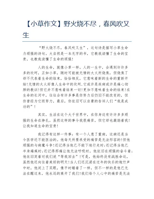 小草作文野火烧不尽春风吹又生