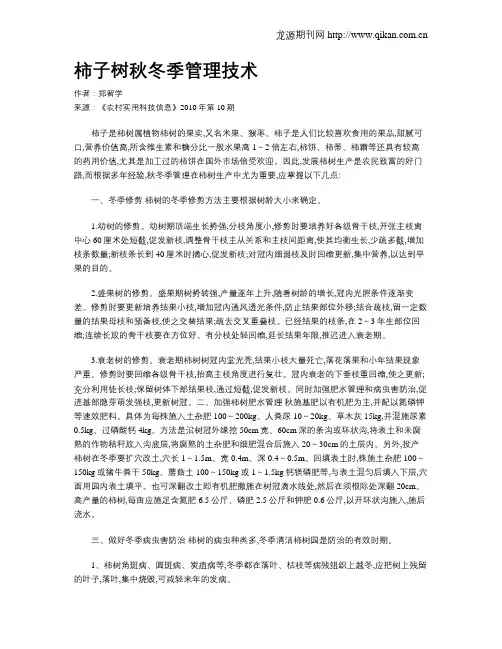 柿子树秋冬季管理技术