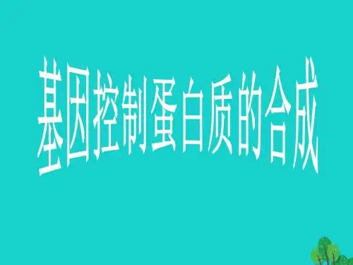 高中生物第二册第6章遗传住处的传递和表达6.2蛋白质合成课件(3)沪科版