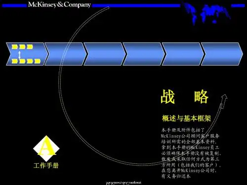 Mckinsey-战略咨询培训手册