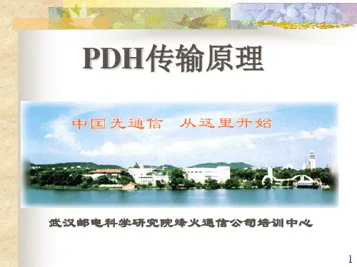 PDH原理