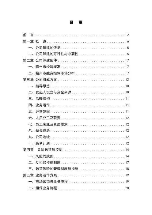 设立融资担保公司项目可行性研究报告
