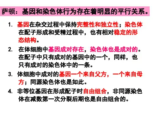 生物基因在染色体上PPT课件