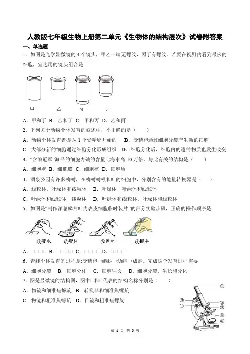 人教版七年级生物上册第二单元《生物体的结构层次》试卷附答案