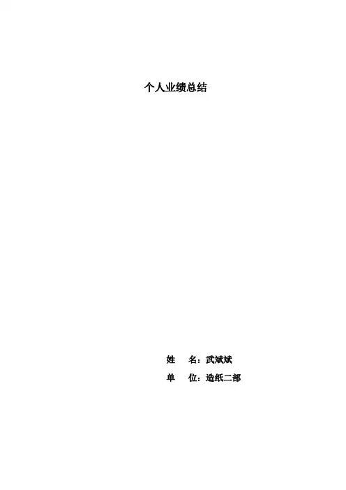 个人业绩总结
