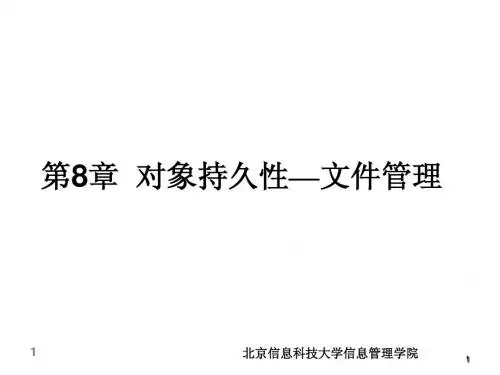 2010-第10讲---第八章 对象持久性--文件管理