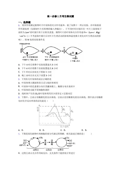 高一必修1月考生物试题