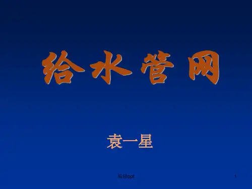 《给水管网》PPT课件