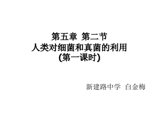 第五部分第二部分人类对细菌和真菌的利用第一课时教学课件