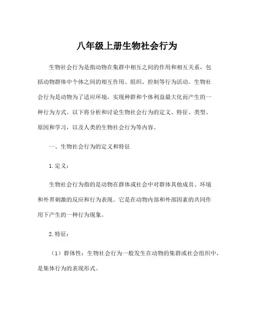 八年级上册生物社会行为 2