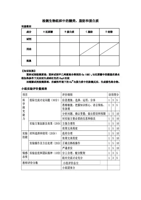 检测生物组织中的糖类脂肪和蛋白质实验报告