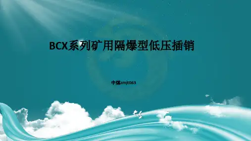 BCX系列矿用隔爆型低压插销