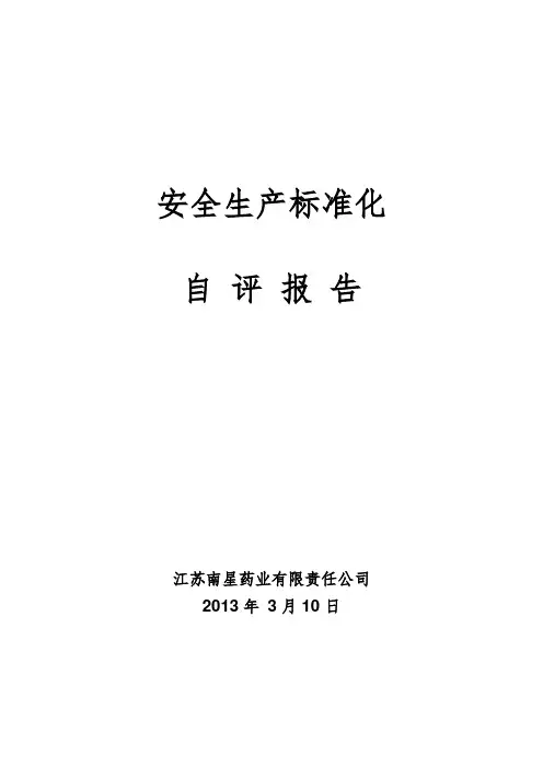安全标准化自评报告