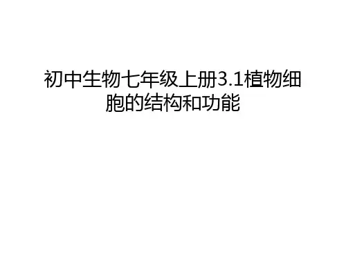 初中生物七年级上册3.1植物细胞的结构和功能说课材料