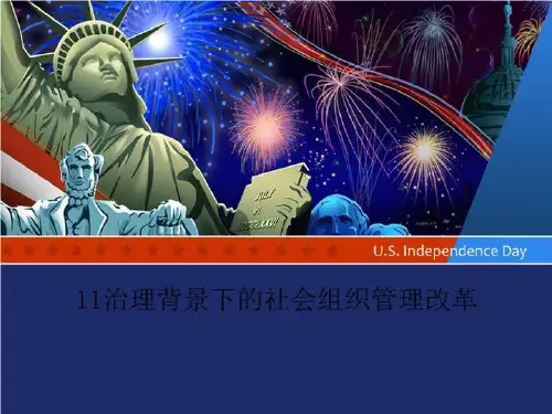 11治理背景下的社会组织管理改革-文档