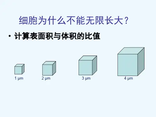 细胞不能无限长大的原因