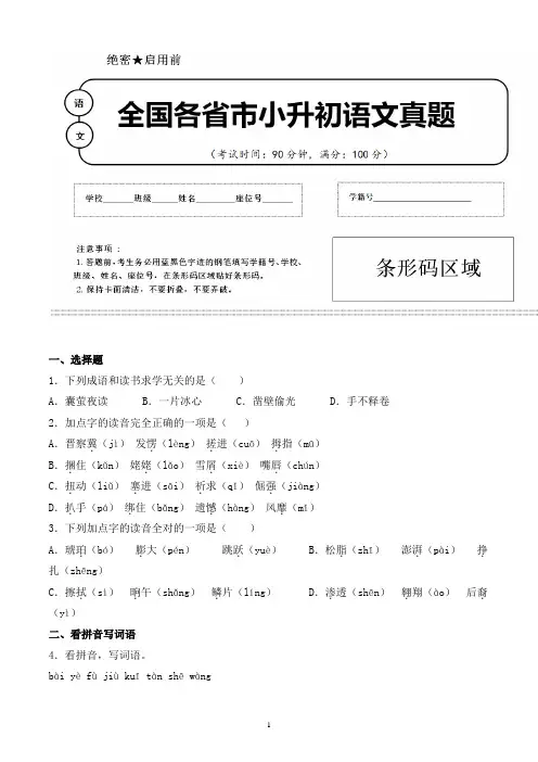 【小升初】2020年四川省乐山市小升初语文毕业会考试题含答案(全网唯一)