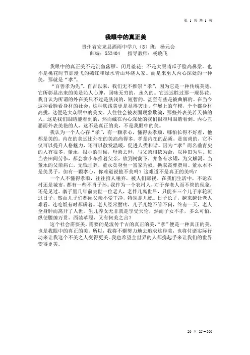 我眼中的真正美