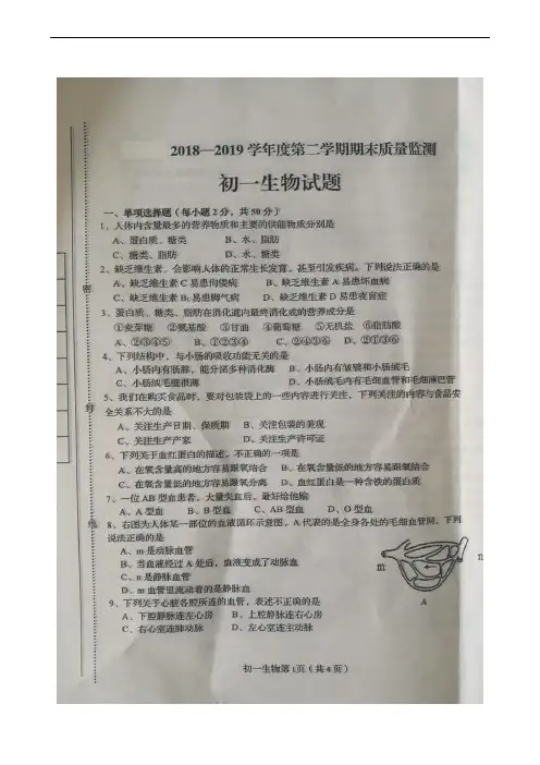 河北省秦皇岛市海港区2018-2019学年七年级下学期期末考试生物试题(扫描版)