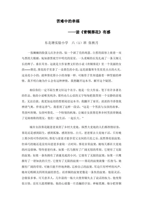 青铜葵花读后感