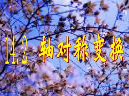 轴对称变换-2