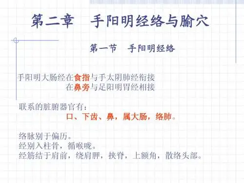 大肠经