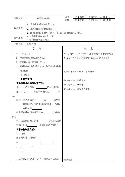 观察植物细胞教案