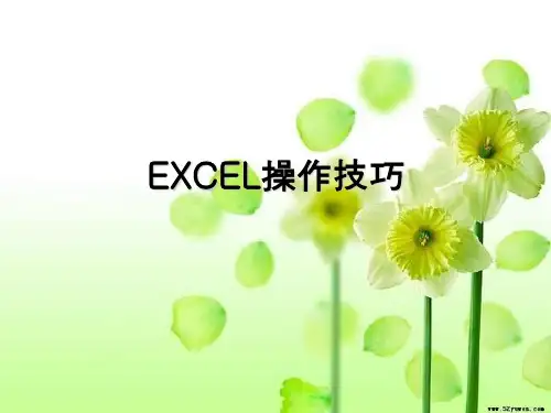 EXCEL操作技巧.ppt