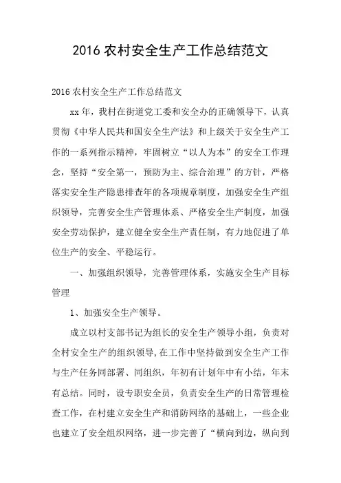 2016农村安全生产工作总结范文