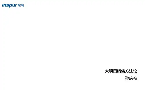 大项目销售方法论
