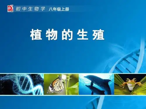 19-1-1植物的生殖