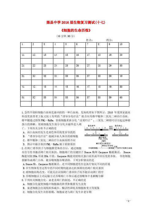 四川省渠县中学高三生物复习测试试题十七(无答案)