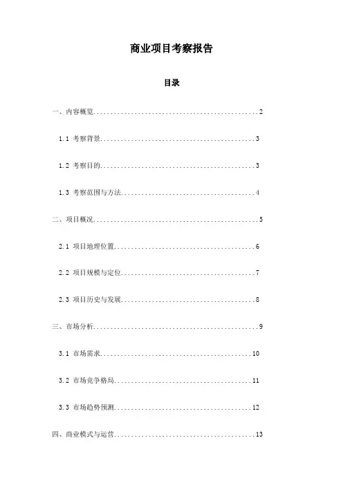 商业项目考察报告