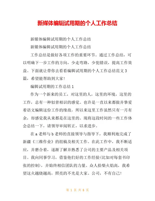新媒体编辑试用期的个人工作总结