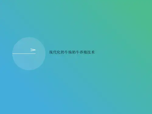现代化奶牛场奶牛养殖技术