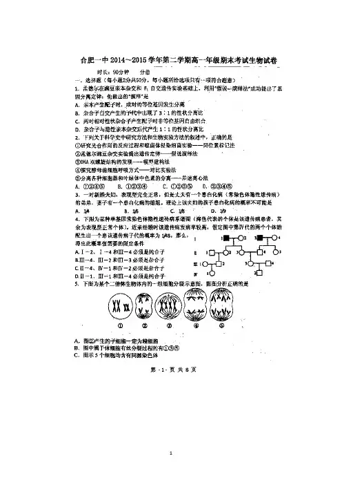 安徽省合肥市第一中学2014-2015学年高一下学期期末考试生物试题 扫描版含答案