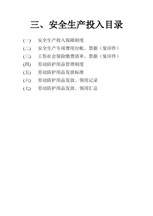 安全生产标准化 三、安全生产投入