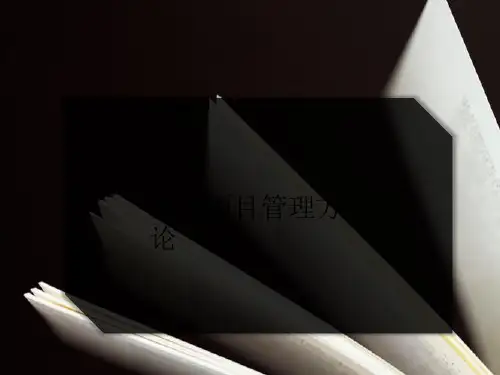 全球项目管理方法论