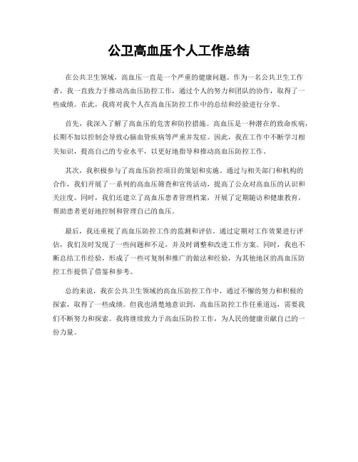 公卫高血压个人工作总结 2