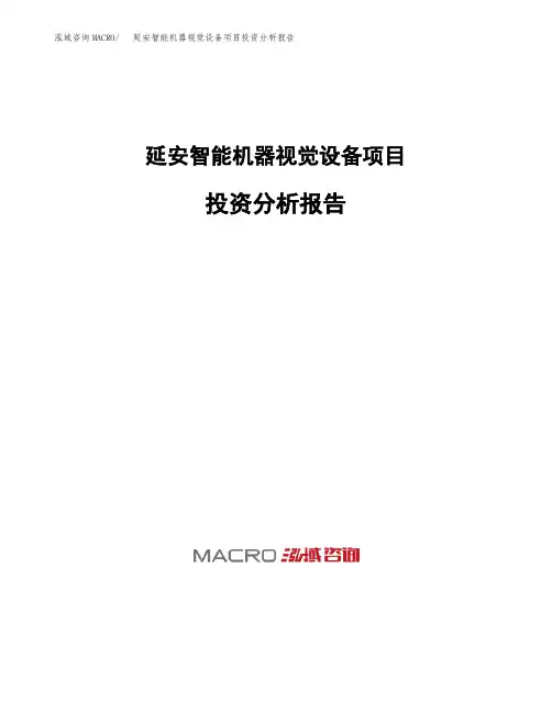 延安智能机器视觉设备项目投资分析报告