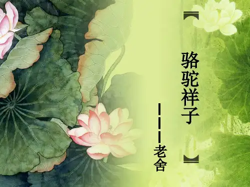 名著导读----骆驼祥子、名人传