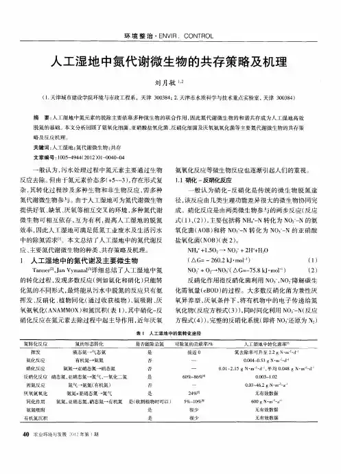 人工湿地中氮代谢微生物的共存策略及机理